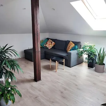 Appartement Stylowy Z Ogrodem *